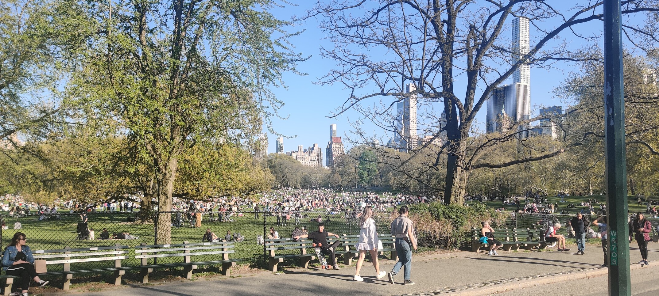 Picture of Central Park, lots of people picnicing on the Great Lawn with tall Manhattan buildings visible in the background. 