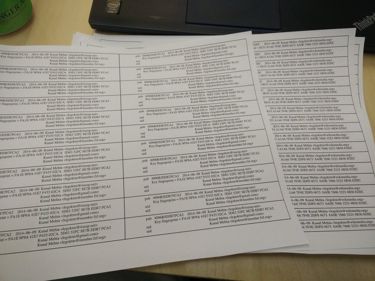 Pages with a grid of strips for my PGP key information